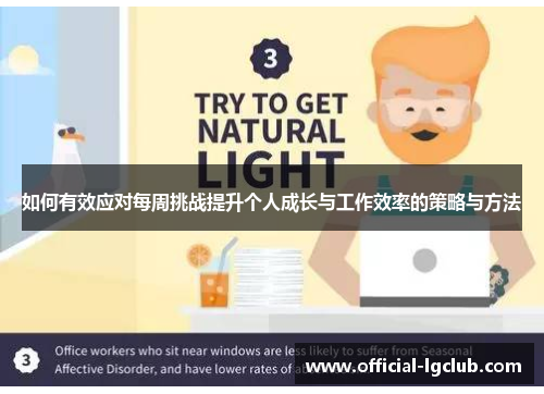 如何有效应对每周挑战提升个人成长与工作效率的策略与方法