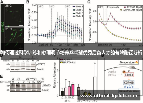 如何通过科学训练和心理调节培养乒乓球优秀后备人才的有效路径分析