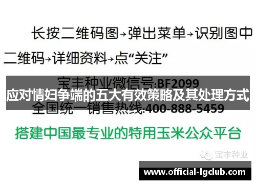 应对情妇争端的五大有效策略及其处理方式
