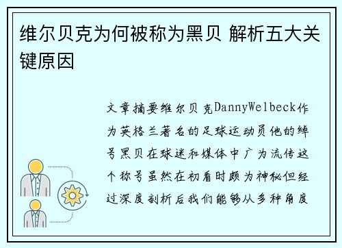 维尔贝克为何被称为黑贝 解析五大关键原因