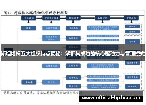 斯坦福桥五大组织特点揭秘：解析其成功的核心驱动力与管理模式